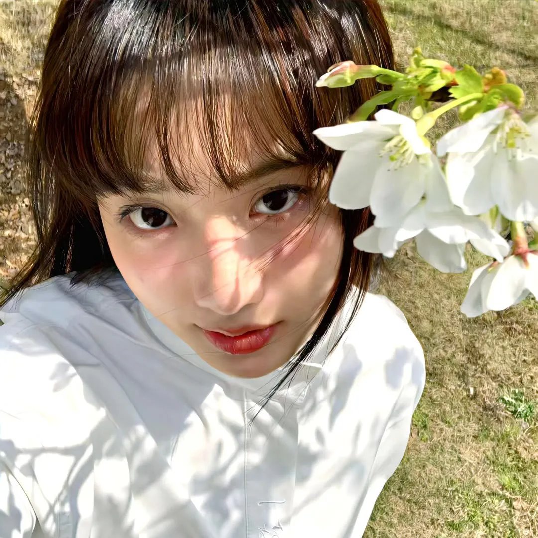 托勒密·格雷最后的日子